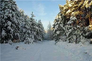 杰克霜精现身日本街头 《灵魂骇客2》投放3D广告
